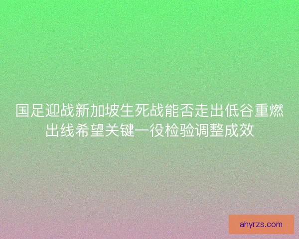 国足迎战新加坡生死战能否走出低谷重燃出线希望关键一役检验调整成效